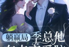 已完结小说《躺赢局:季总他有点恋爱脑》章节免费阅读-艾米文学