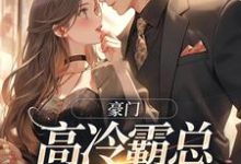 免费在线阅读豪门:高冷霸总别太宠小说的正规网站有哪些?-艾米文学