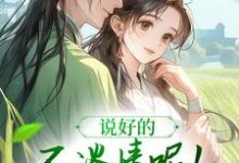 完整版小说《说好的不谈情呢!王爷请自制》免费阅读-艾米文学