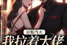 订婚当天,我拉着大佬去领证小说有没有完整的免费版本在线阅读?-艾米文学
