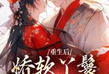 重生后，娇软丫鬟被雄竞了小说无弹窗阅读的网站推荐-艾米文学
