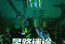 王禹小说完整版《星路迷途:探索异界文明》免费阅读-艾米文学