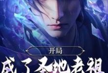 开局成了圣地老祖，我走废材流免费阅读，开局成了圣地老祖，我走废材流章节目录-艾米文学