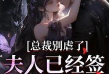 完整版《总裁别虐了，夫人已经签了离婚书》小说免费阅读-艾米文学