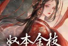 在线寻找奴本金枝，誓不为妾小说的无删减版本-艾米文学