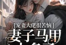 在线寻找宠妻大佬很苦恼,妻子马甲太多了!小说的无删减版本-艾米文学