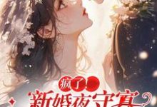《疯了！新婚夜守寡，疯批亡夫回来了》小说大结局免费试读 苏黎傅念琛小说-艾米文学