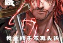 完整版小说《海贼：我金狮子不再头铁》免费阅读-艾米文学
