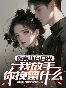 你奔赴白月光，我放手你挽留什么完整版最新章节，你奔赴白月光，我放手你挽留什么章节在线阅读