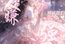 沈轻梨小说完结版在线阅读,穿越后,我逆改人设变团宠免费看-艾米文学