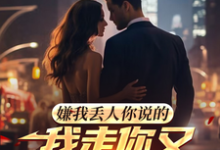 《嫌我丢人你说的，我走你又哭什么》完整版小说免费阅读-艾米文学