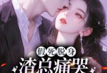 假死脱身，渣总痛哭流涕求我归家免费阅读，假死脱身，渣总痛哭流涕求我归家章节目录-艾米文学