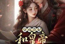穿成贵妃，和皇帝绑定了气运章节免费在线阅读，宋茹元煦完结版-艾米文学