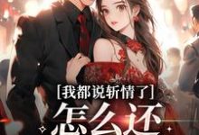 完结版《我都说斩情了，怎么还让我相亲》章节阅读-艾米文学