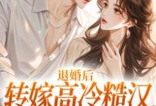 小说《退婚后转嫁高冷糙汉,渣男悔疯了》章节免费阅读-艾米文学