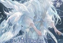 佣兵首领陨落后，被小人鱼救赎了小说的所有章节都能在哪里免费读到？-艾米文学