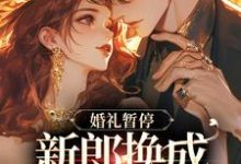 祝卿佳郗闻洲完整版《白月光婚约作废,机长趁机上位》小说免费阅读-艾米文学