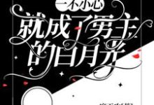 小说《【快穿】一不小心就成了男主的白月光》完整版章节免费阅读-艾米文学