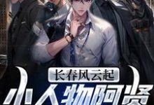 《长春风云起！小人物阿贤的霸业征途》小说章节列表免费试读，孙世贤小说在线阅读-艾米文学