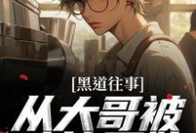 完结版《黑道往事：从大哥被暗算开始》章节阅读-艾米文学