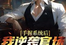 手握系统后,我逆袭官场权势巅峰小说完结版章节免费阅读-艾米文学