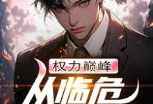 完结版《权力巅峰:从临危受命开始》章节阅读-艾米文学