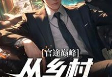官途巅峰,从乡村书记崛起!小说有没有完整的免费版本在线阅读?-艾米文学