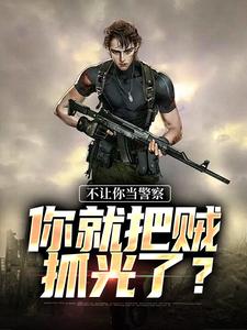 高洋小说完整版《不让你当警察，你就把贼抓光了？》免费阅读