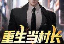 重生当村长,狗都住别墅完整版小说免费阅读,重生当村长,狗都住别墅小说-艾米文学