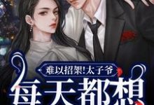 已完结小说《难以招架！太子爷每天都想强取豪夺》章节免费阅读-艾米文学