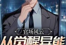 官场风云:从觉醒异能开始升官小说有没有完整的免费版本在线阅读?-艾米文学