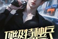 陈平安夏初一小说顶级特种兵退役后,在官场呼风唤雨完整版阅读-艾米文学