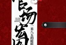 《官场宏图》小说章节列表免费试读,夏风廖冰卿小说在线阅读-艾米文学