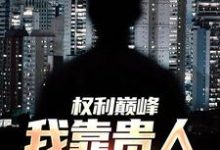 已完结小说《权利巅峰:我靠贵人逆袭高管!》在线章节阅读-艾米文学