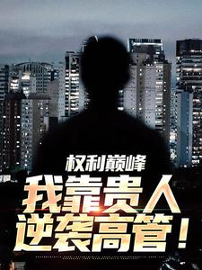 已完结小说《权利巅峰：我靠贵人逆袭高管！》在线章节阅读