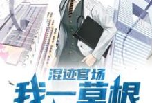 混迹官场:我一草根平步青云小说有没有完整的免费版本在线阅读?-艾米文学