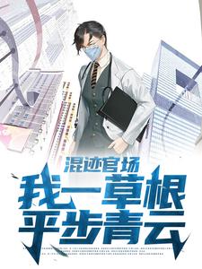 混迹官场：我一草根平步青云小说有没有完整的免费版本在线阅读？