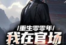 重生零零年:我在官场如鱼得水徐华宇林若萱,重生零零年:我在官场如鱼得水在线无弹窗阅读-艾米文学