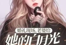 《婚礼现场，老婆给她的白月光唱情歌》小说大结局免费试读 楚江小说-艾米文学