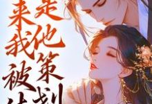 鱼归晚云澈小说勾心:原来我被休是他策划的在线阅读章节-艾米文学