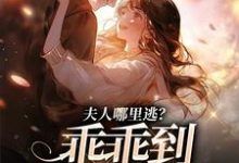 完结版《东南亚大佬疯狂强制爱》章节目录在线阅读-艾米文学