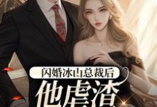 小说《闪婚冰山总裁后，他虐渣玩上瘾了》完整版章节免费阅读-艾米文学