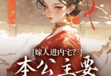 嫁人进内宅?本公主要在朝堂厮杀小说无弹窗阅读的网站推荐-艾米文学
