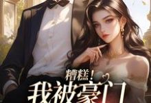 《糟糕!我被豪门少爷缠上了》完整版小说免费阅读-艾米文学