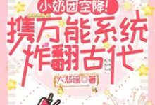 凤子涵小说完整版《小奶团空降！携万能系统炸翻古代》免费阅读-艾米文学