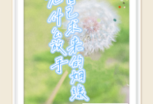 自己求来的姻缘,凭什么放手小说无弹窗阅读的网站推荐-艾米文学