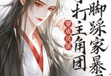 《穿成反派,拳打主角团脚踩家暴男》小说容瑟章节章节免费在线阅读-艾米文学