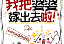 小说《一品官媒：我把婆婆嫁出去啦！》章节免费阅读-艾米文学