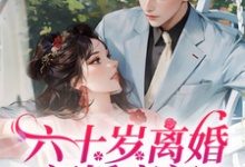 求推荐可以免费阅读六十岁离婚闪婚豪门!父子火葬场小说的网站-艾米文学