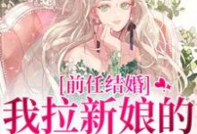 已完结小说《前任结婚,我拉新娘的前男友闪婚》在线章节阅读-艾米文学